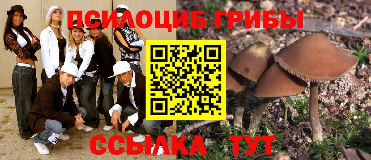 Псилоцибиновые грибы ЛСД Норильск
