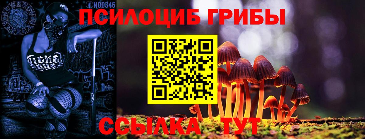 Норильск  Галлюциногенные грибы MAGIC MUSHROOMS  Вход с VPN  закладка  Галлюциногенные грибы Psilocybe 